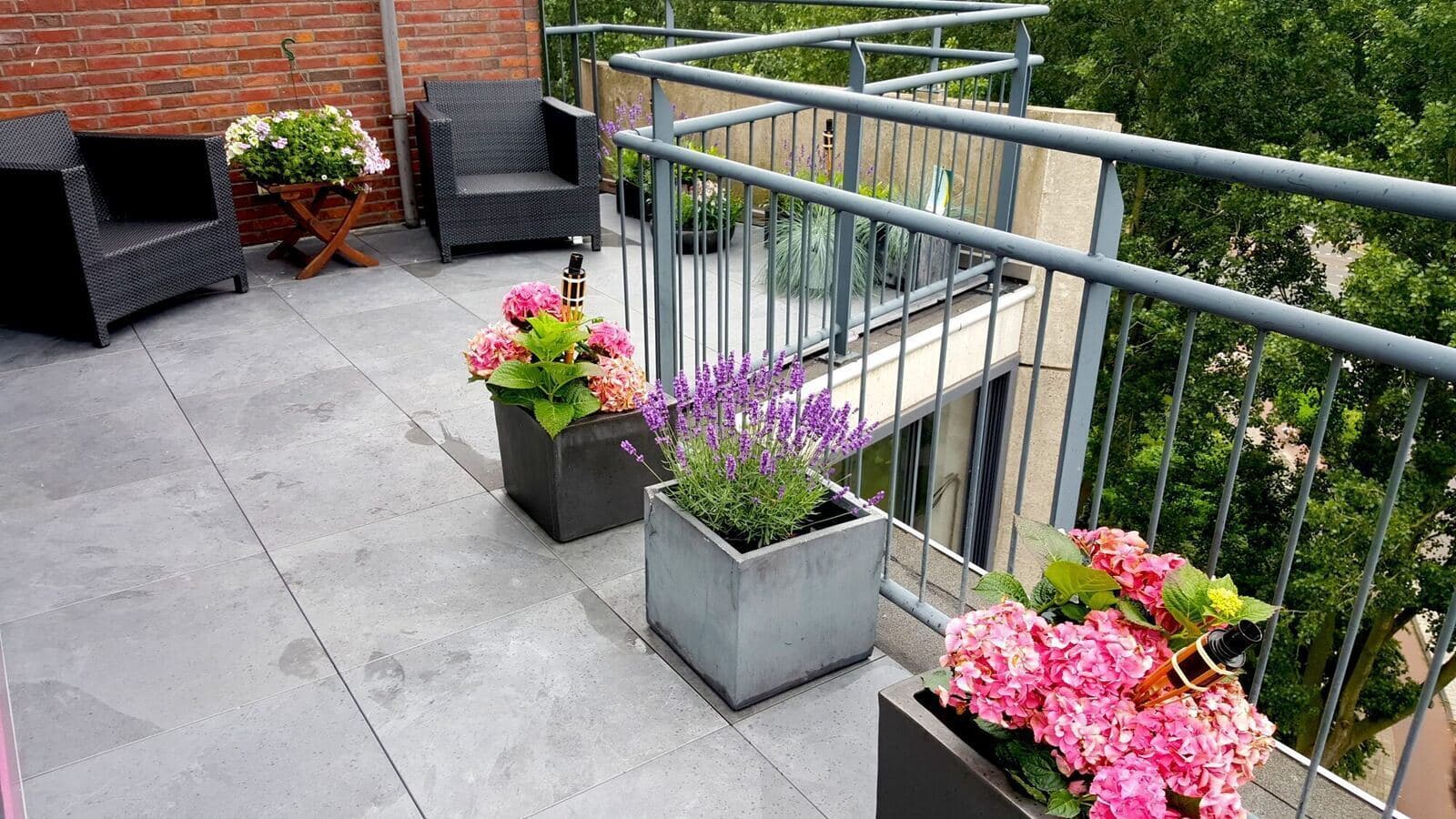 2 cm tegels dakterras Amsterdam: Dakterras met antraciet tegels, lavendel en roze hortensia's in bakken