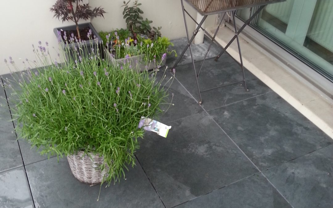 2cm Coke Balkon Amersfoort