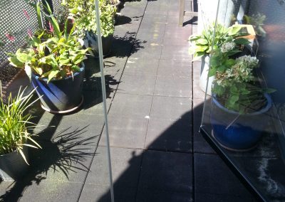 2cm Houtlook Balkon Den Hoorn