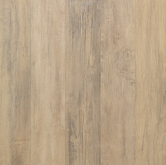 Caesar Vibe Rovere of Cinder